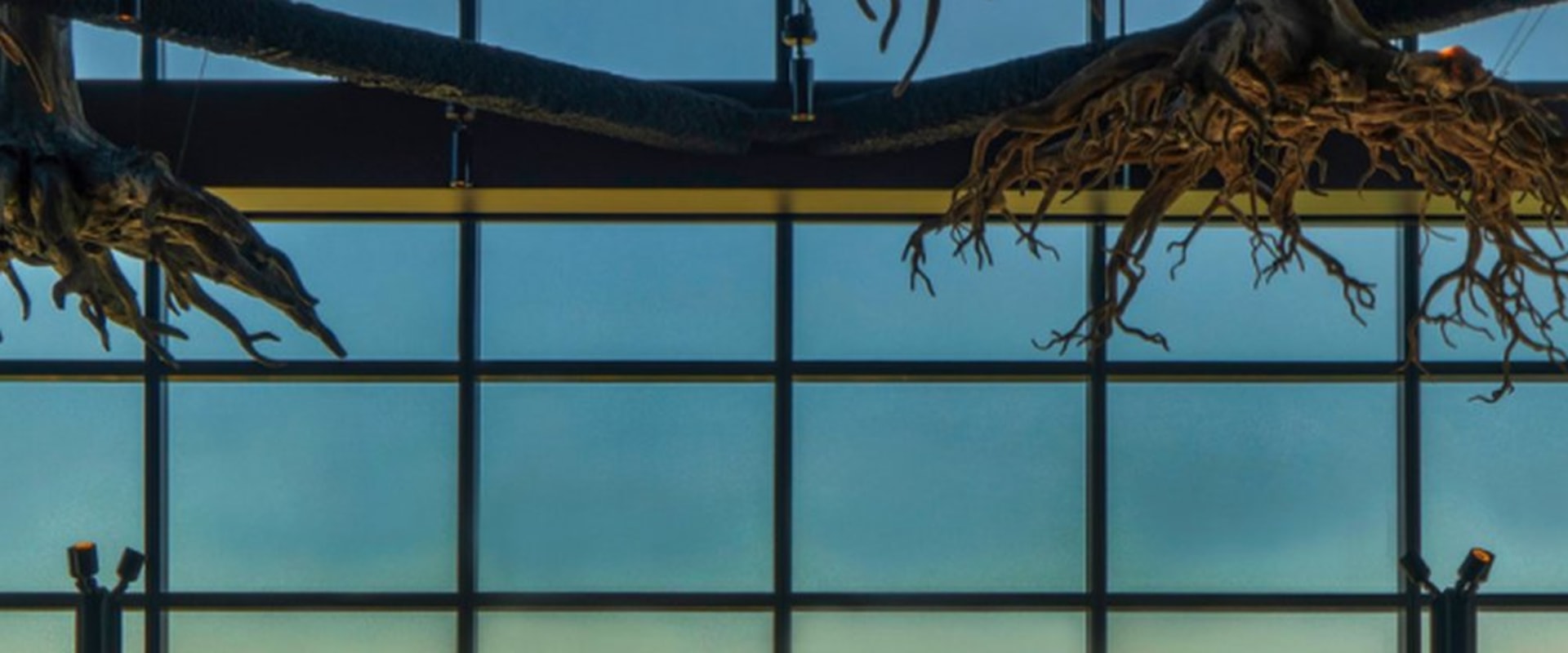 The Top Steakhouses in King County, Washington with a Breathtaking View of the City Skyline